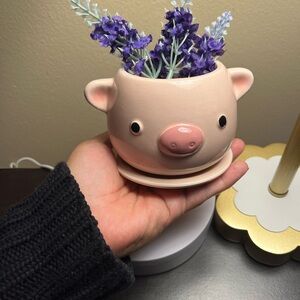 Ceramic Pig Planter Adorable 4”x4” NWT